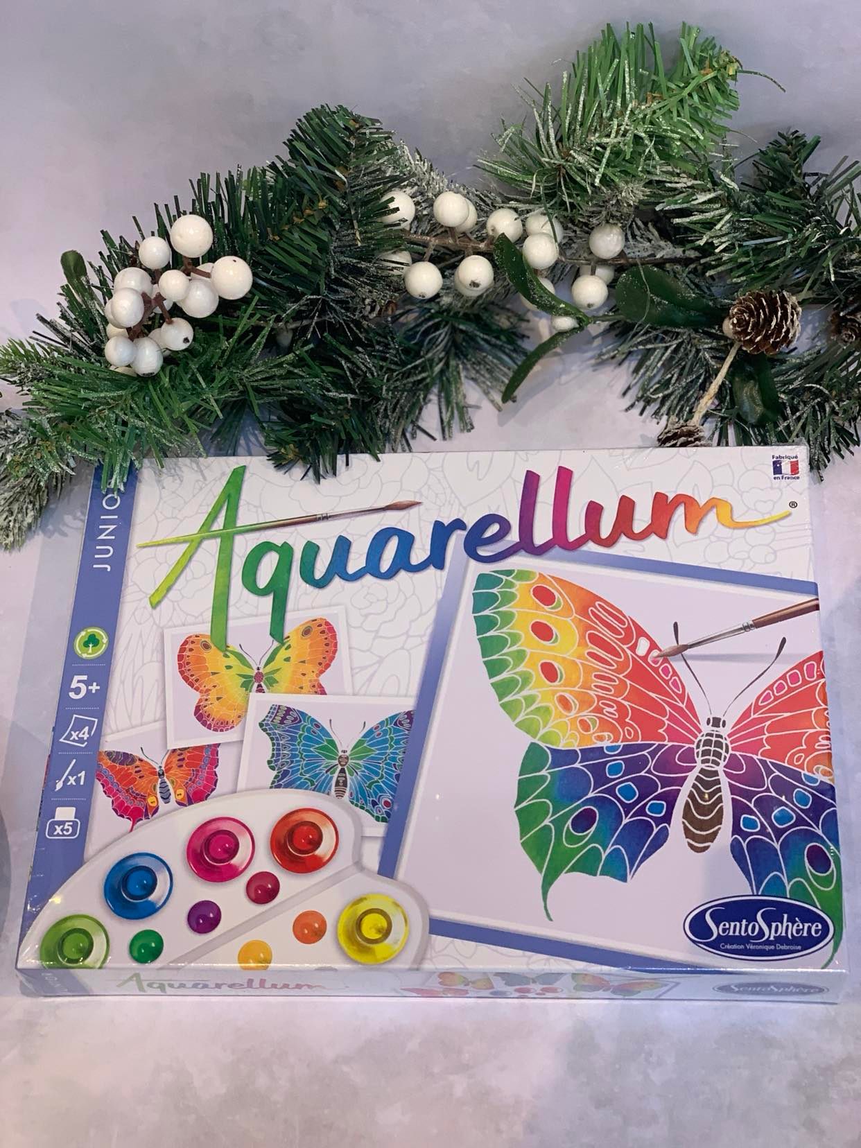 Butterfly painting, christmas craft gifts, 2021