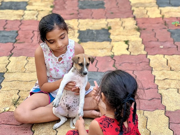 Unsplash image looking after pets