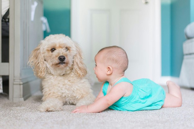 unsplash image baby with a dog