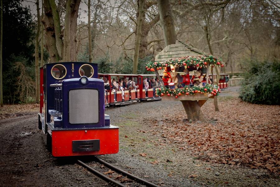 Father Christmas train ride through the woods at Audley End Enchanted Railway
